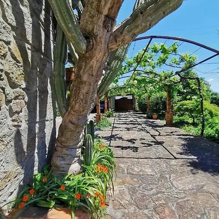 Casa Do Faial - Braga