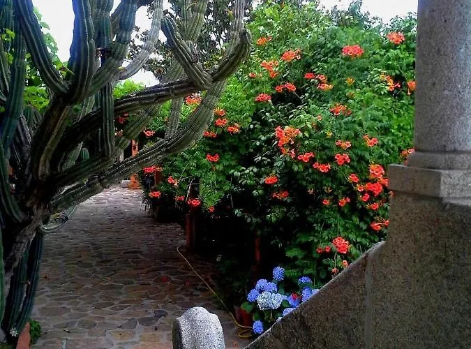 Villa Casa Do Faial - Braga