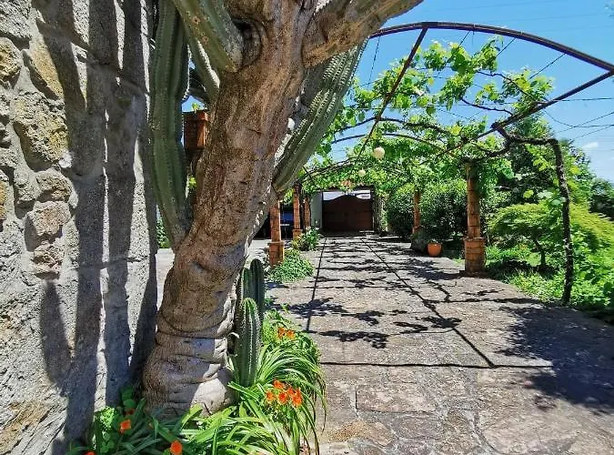 Casa Do Faial - Braga