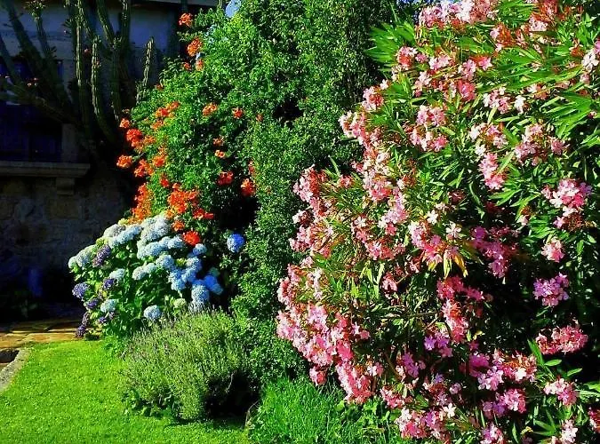 Casa Do Faial - Villa Braga