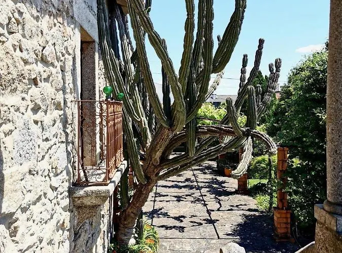 Casa Do Faial - Villa